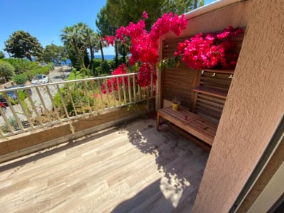 Bougainvillea at the apartment