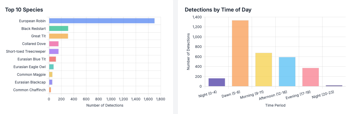 Bar charts showing top 10 species and detections by time of day